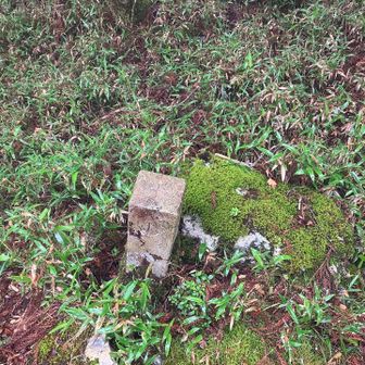 中都山三角点？