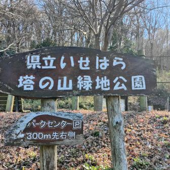 ここから山頂へ