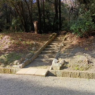 参道を少し戻りこの階段を上がります