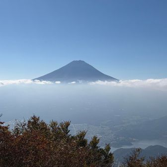 展望台からの眺め✨️
