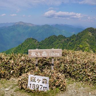 山頂
黒い虫が大量💦