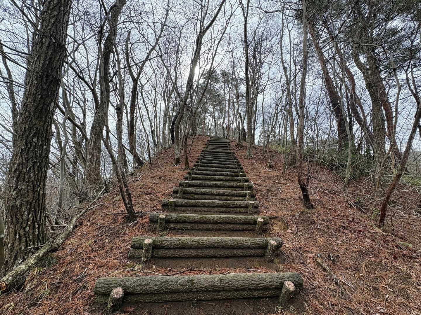 階段多数ありです