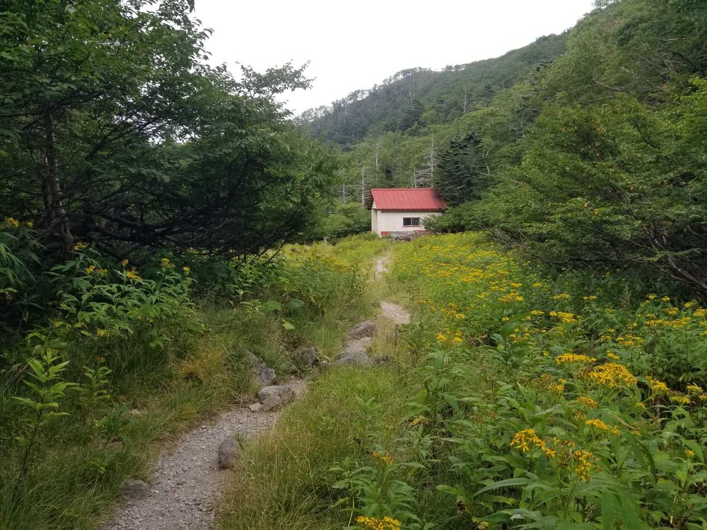 赤い屋根が目印の五色沼避難小屋