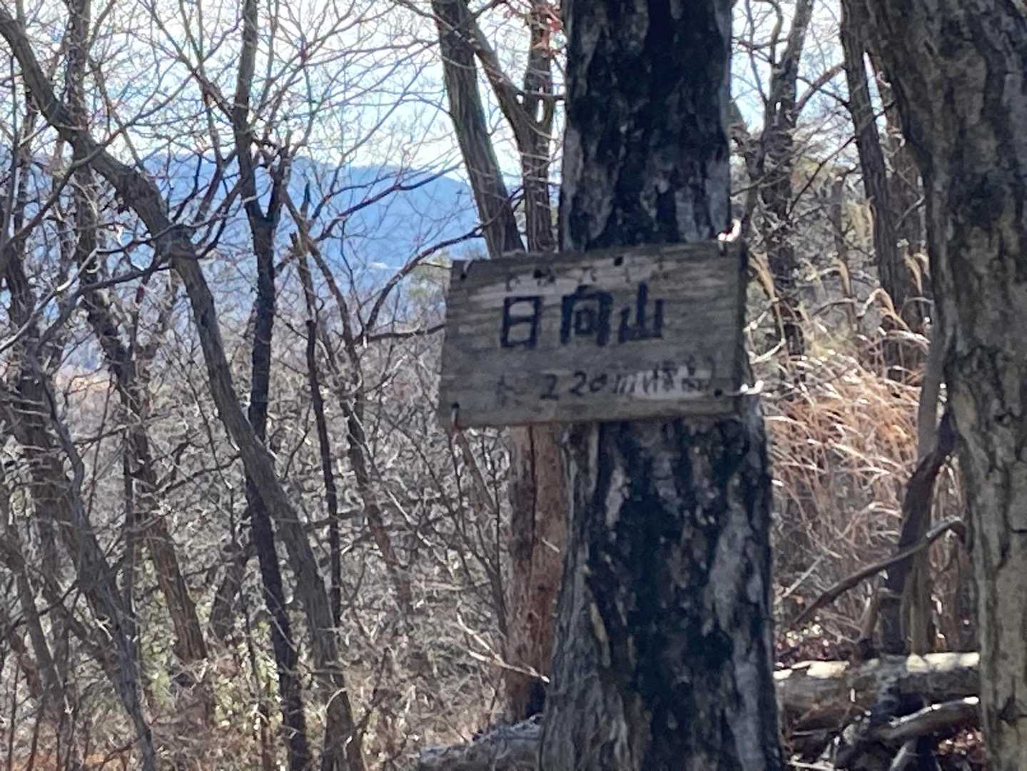 日向山⛰️