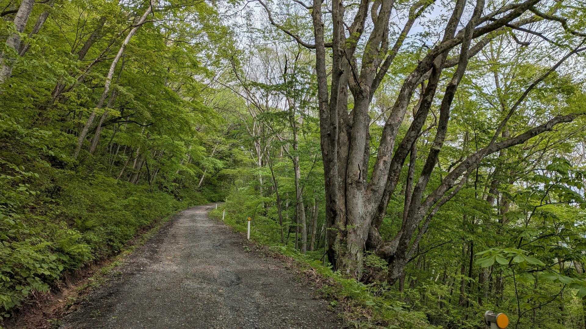 赤林山矢巾温泉登山口-南昌山神社-前倉山-南昌山-南昌山五 往復コースの写真