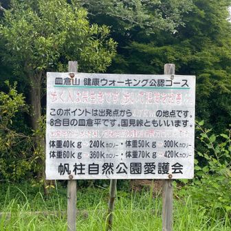 あの、、歩いても肥満改善しません、、🤣
