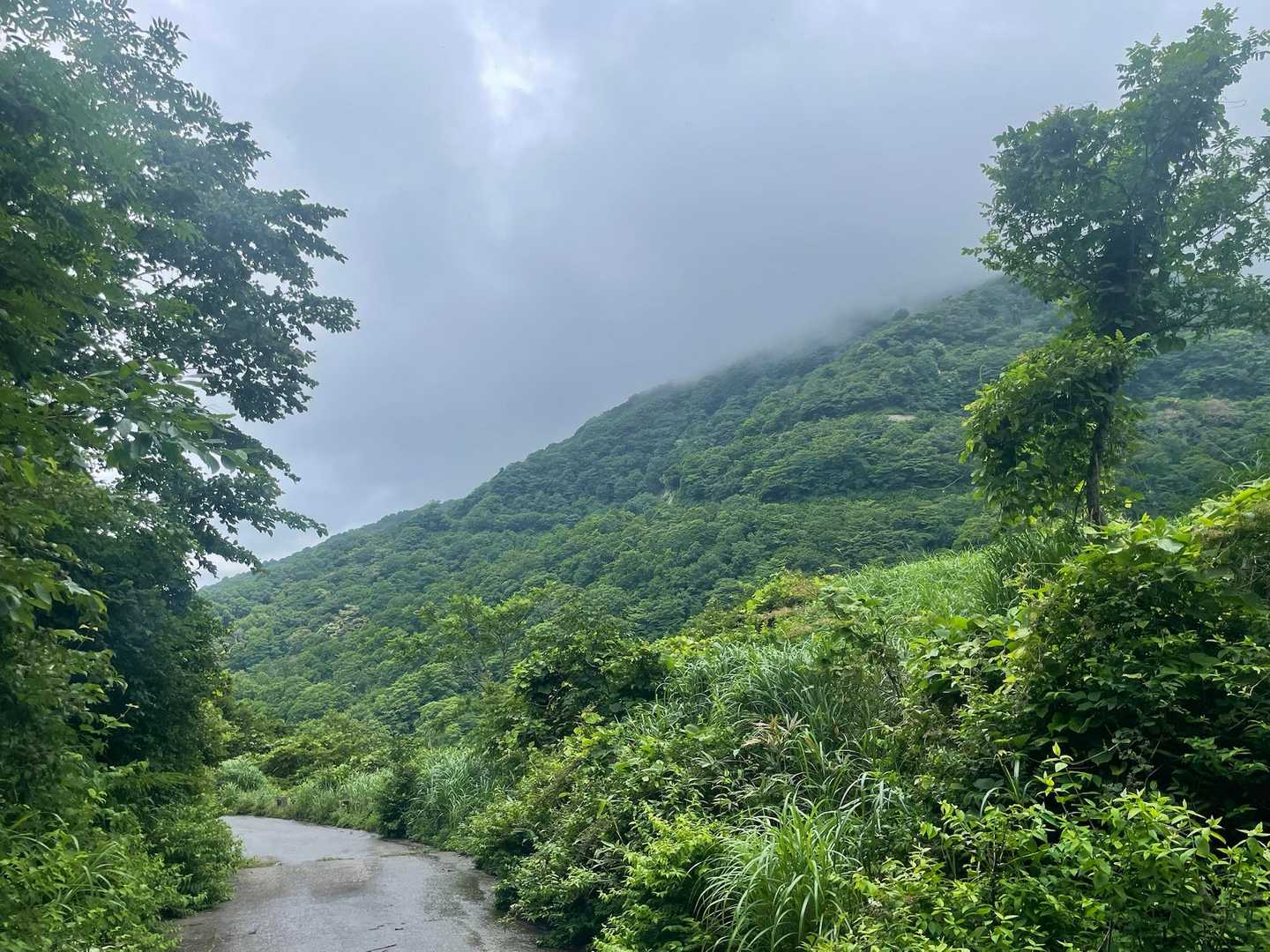 帰りの舗装路から登った稜線を見上げる⛰️
結構な斜度やね😙
あー楽しかった💯