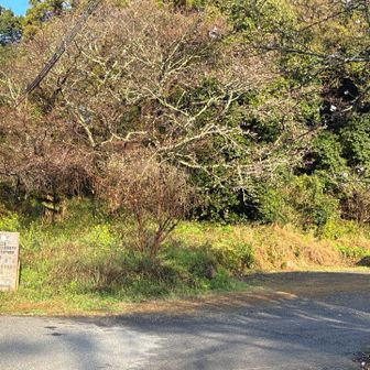 とにかく真似する