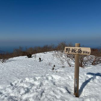 野坂岳着🙌🏼