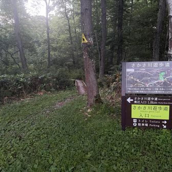 奥社まて1.8Km スタート