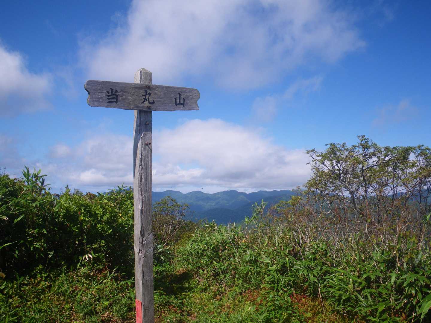 山頂標識