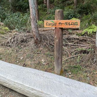カーギルってなに？