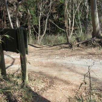 ここで山道は車道を横切るのだがヤマップには禁止マークがあるのです。現地の進入禁止の表示には気が付かなかったので山道に入って行きました。（ロープやゲートも無く、普通に足跡が続いていました）