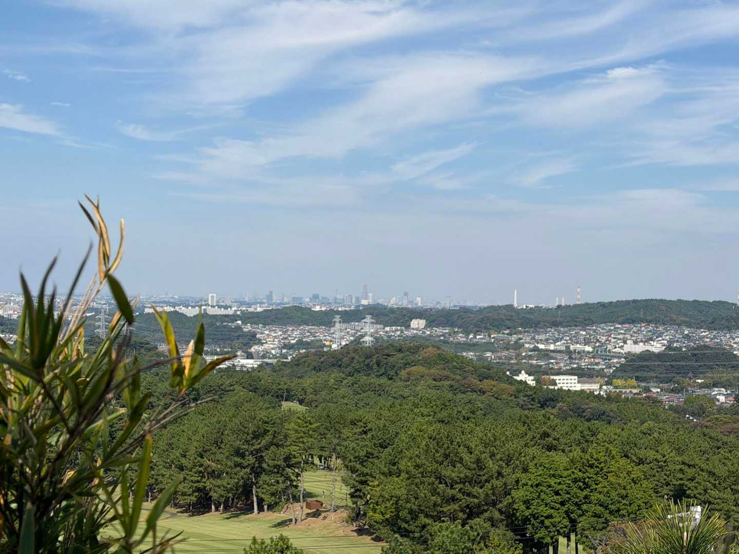 大平山の柵の上からみなとみらい方面