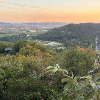 ナイス夕焼け🌆
右➡️、高速道路が見えます。