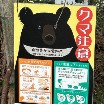 以前は見かけなかったクマ注意⚠️  本当何処にでもあるようになりました