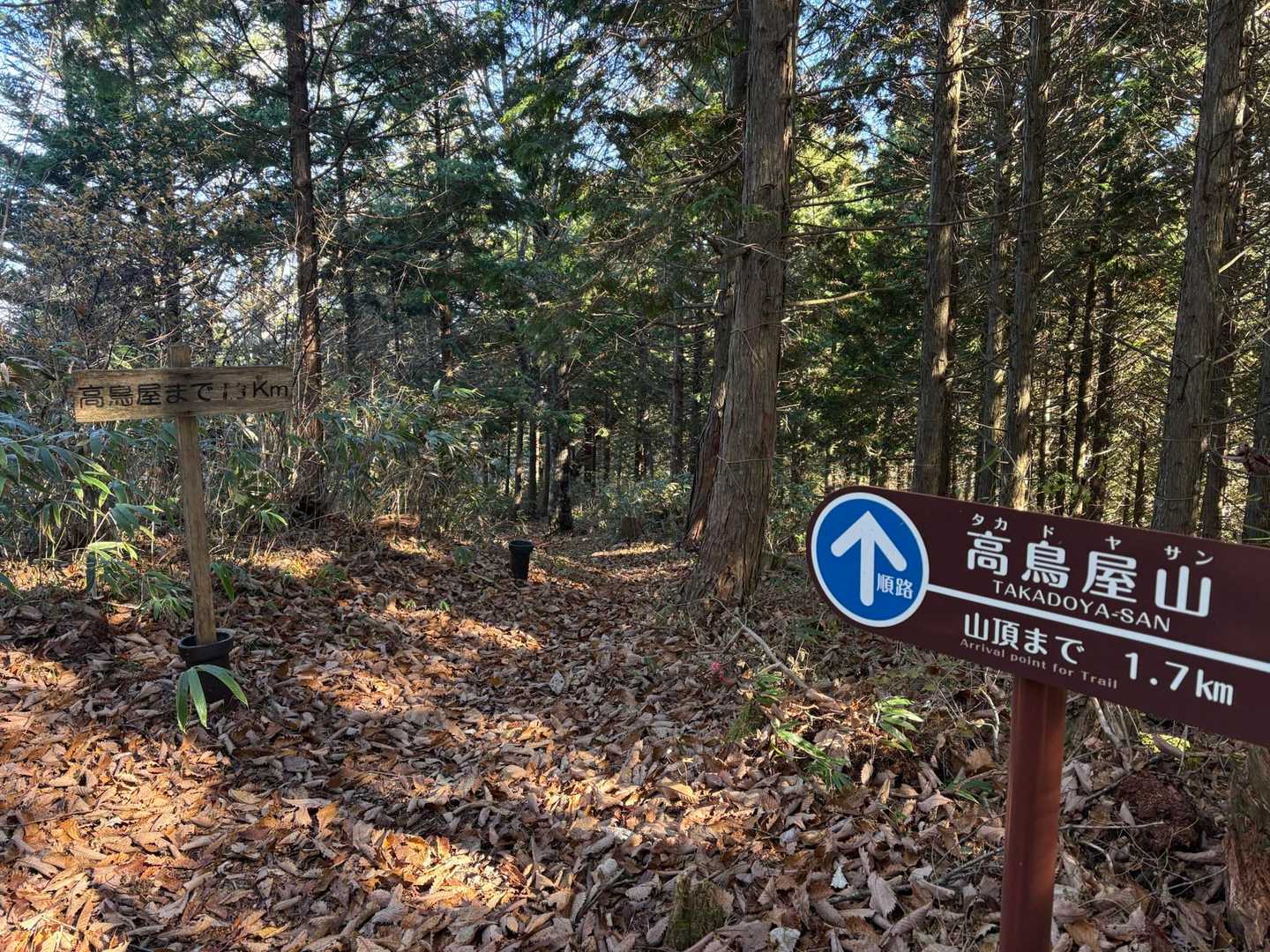 あーしんど！
と言いつつやっと分岐🙌
奥の看板🪧は1.3キロ
手前の看板🪧は1.7キロ
どういうこと？😂