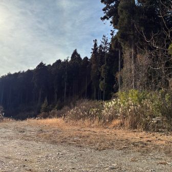 ここは駐車場のはず。
車道に出る前にここで一休み