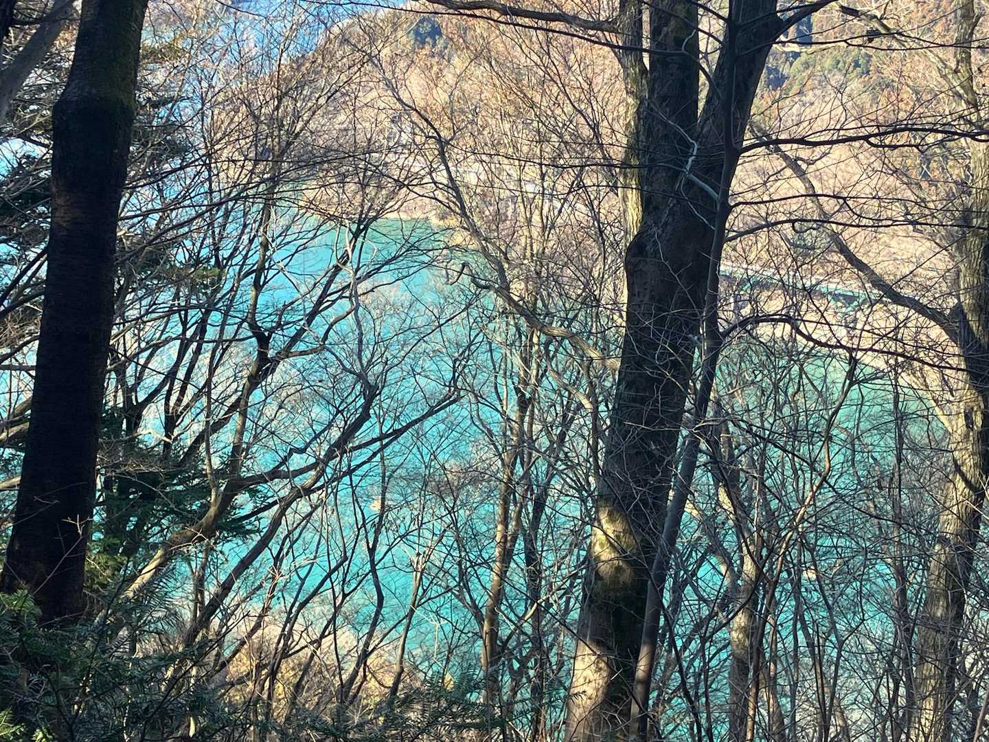 高取山-華厳山-経ヶ岳-半原越-革籠石山-仏果山-宮ヶ瀬越 縦走コースの写真