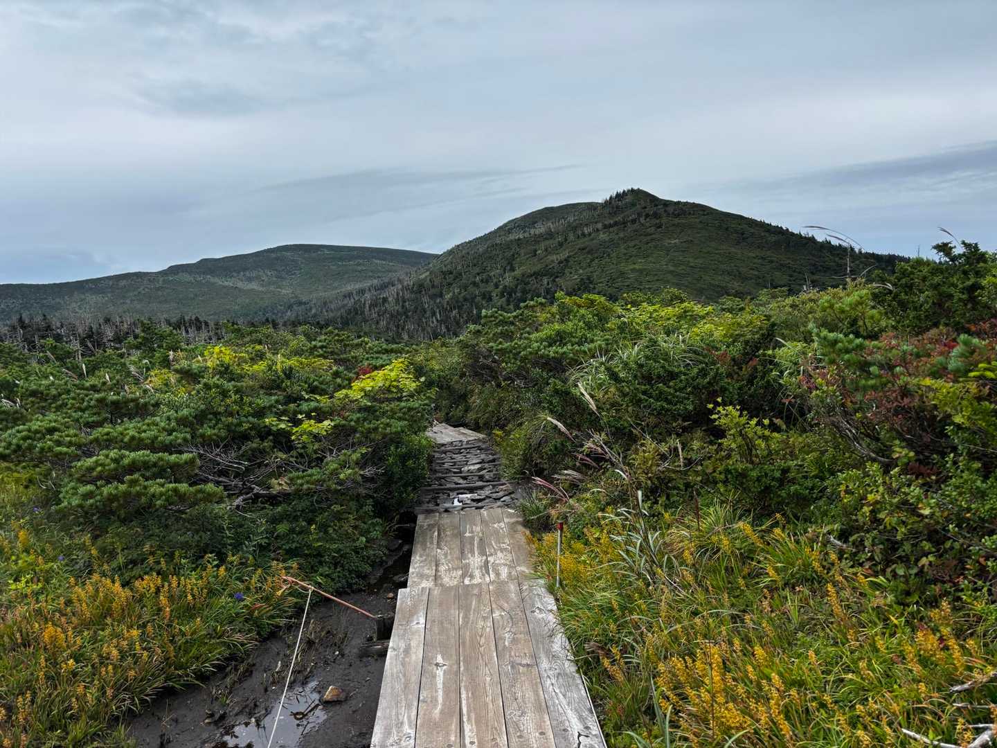 視界は良好だけど山形方面から怪しい雲が☁️