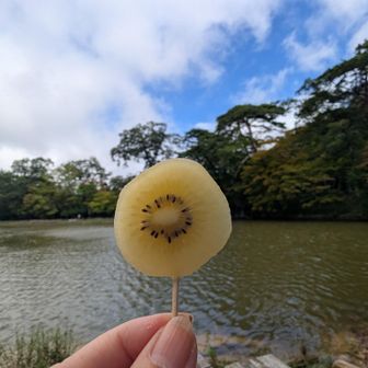 ゴールドキウイ🥝😋