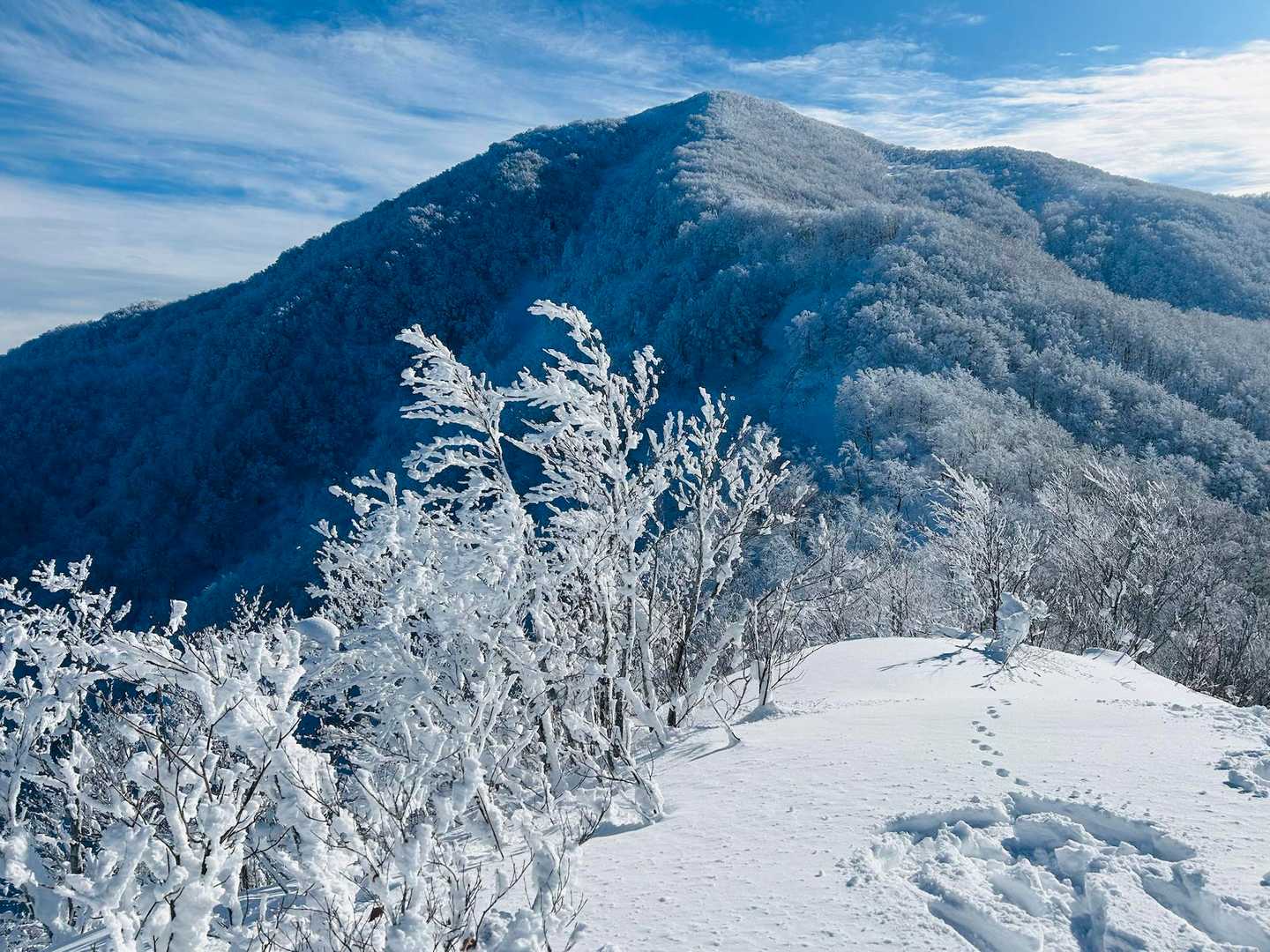 北面白山登山入口-三沢山-面白山 往復コースの写真