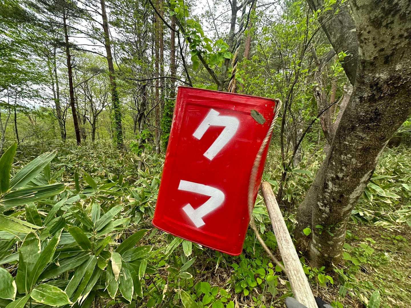 黒鼻山登山口-黒鼻山 往復コースの写真