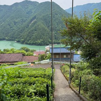熊野神社からは、佐久間湖がよく見えます。