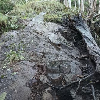 この辺から更に登りきつくなる