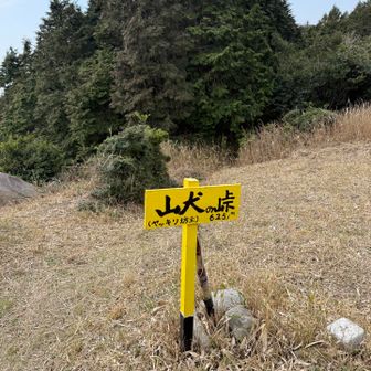 コース外でも近くのピークは
全部行きたかったけど
ずっとyamap見てるわけじゃないから
いくつか取りこぼした😑