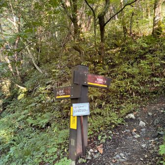 間違えませんよ。
蝶ヶ岳行き。