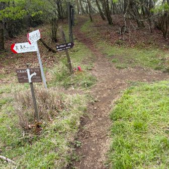 湯沢峠
ここで終わりでもいいんだけど、時間あるしもう一座ピストンすることに