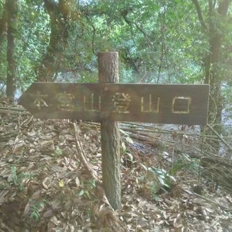 まだ、本宮山は、登っていない、