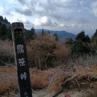 熊笹峠
眺望良し✨👀
ベンチあり〼

同僚二人に遅れを取っているので休まず💦