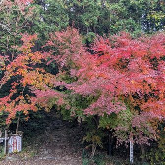 登山口。紅葉がお出迎え。