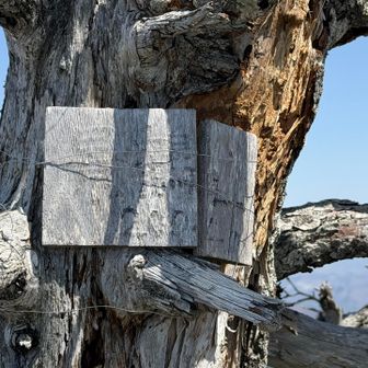 景鶴山とうちゃくしました‼️