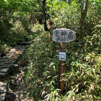 早池峰山に登ると見せかけて薬師岳へ