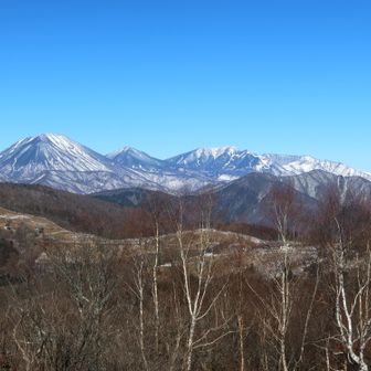 象の鼻の岩の上から撮った日光ファミリー
こっちの方が木の枝が重ならなくて良いね😆
