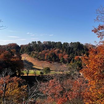 ゴルフ場内にある堂跡嶺を臨む。登ることはできない。
堂跡嶺　281.8m
No.60