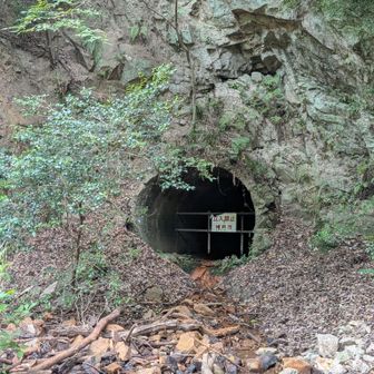 トウェンティクロスハイキング道付近にある高尾山砂防ダム導水隧道