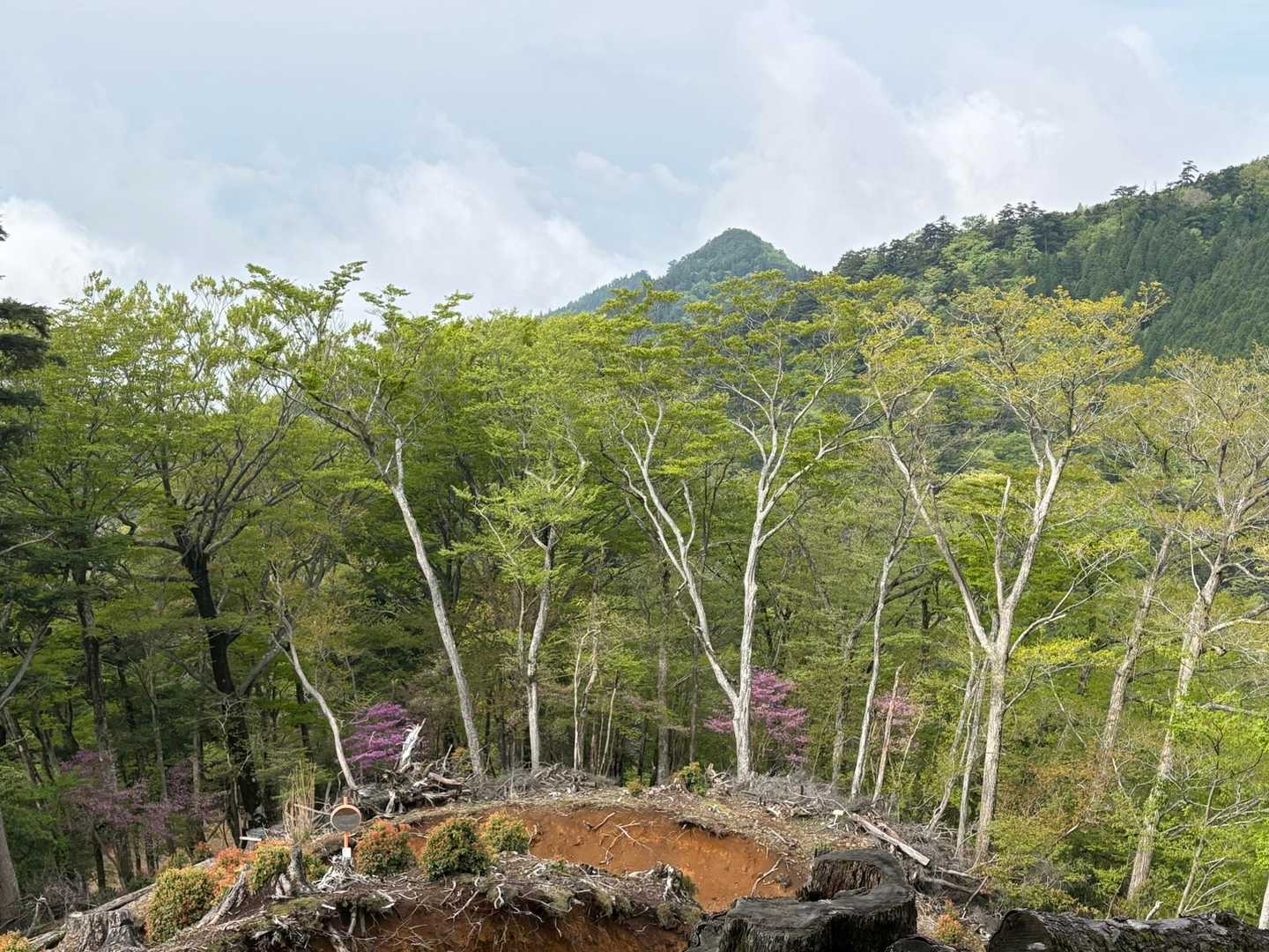 四季見橋登山口-三尖-黒岳-親父山 周回コースの写真