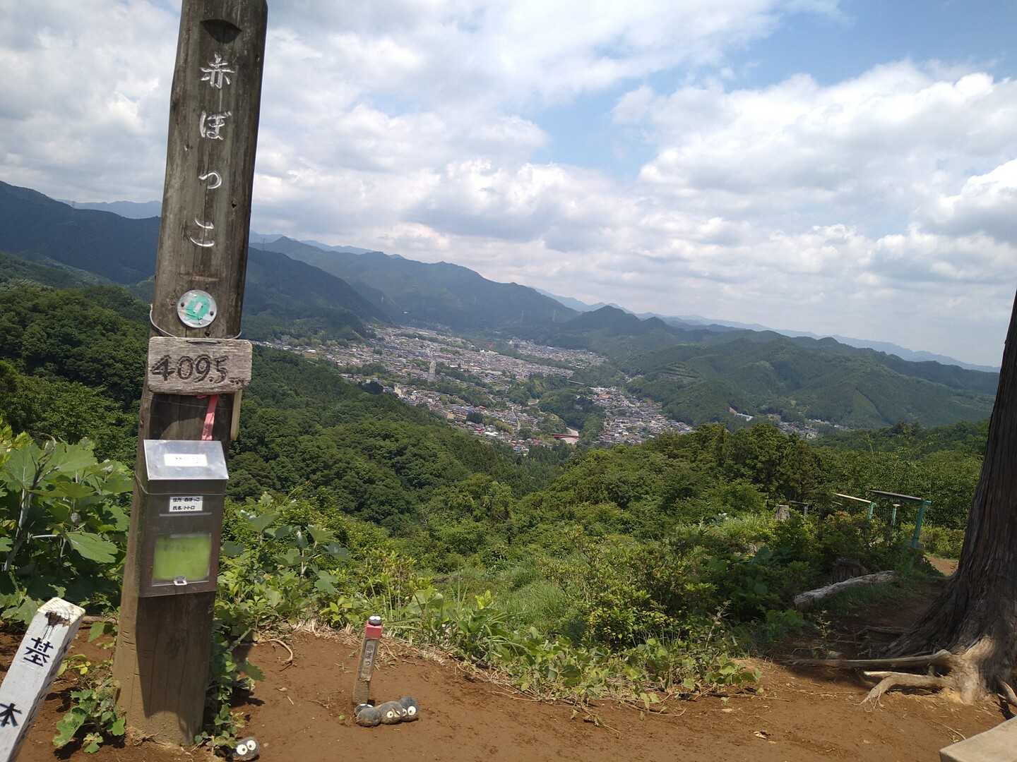赤ぼっこの写真