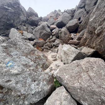 山頂直下は岩登り💦