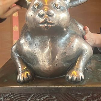 しっかり触らせて頂きましたよ🐇