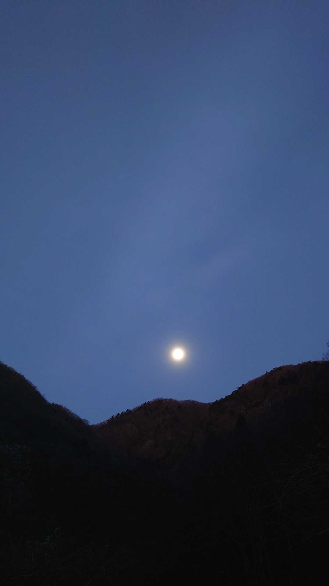 王岳（西湖いやしの里）の写真