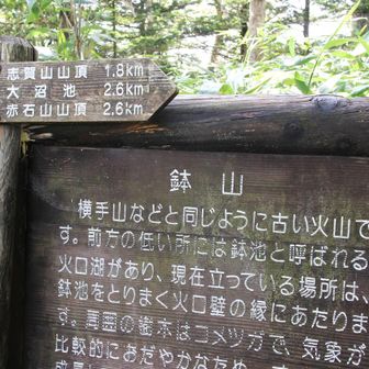 鉢山山頂は全く眺望がありません
経験というかピークハントだけですな。