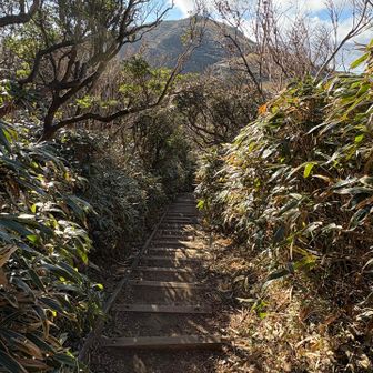 達磨山を目前に、一旦下る