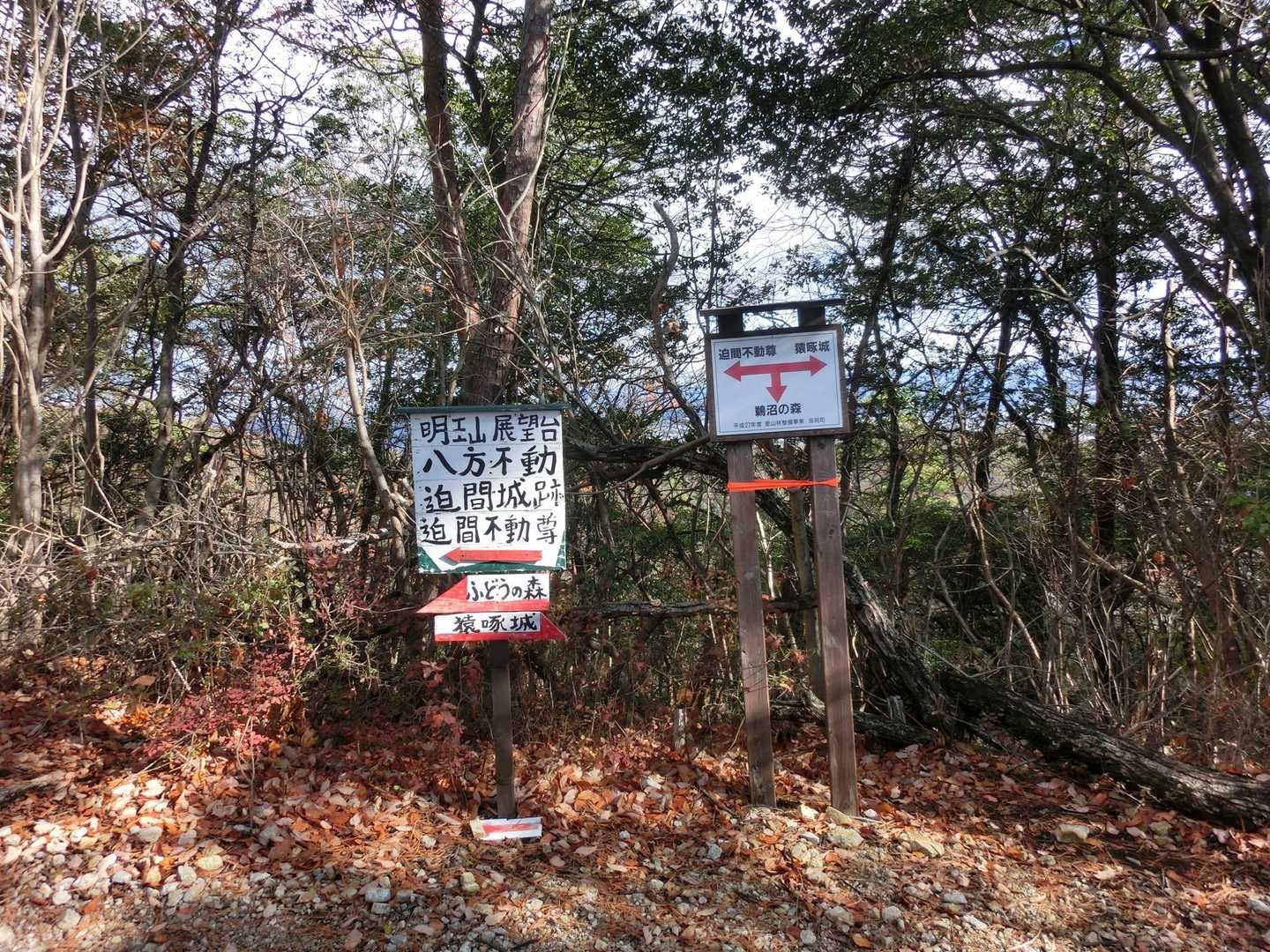 迫間不動-金比羅山登山口-明王山-城山-猿啄城展望台　登山 周回コースの写真