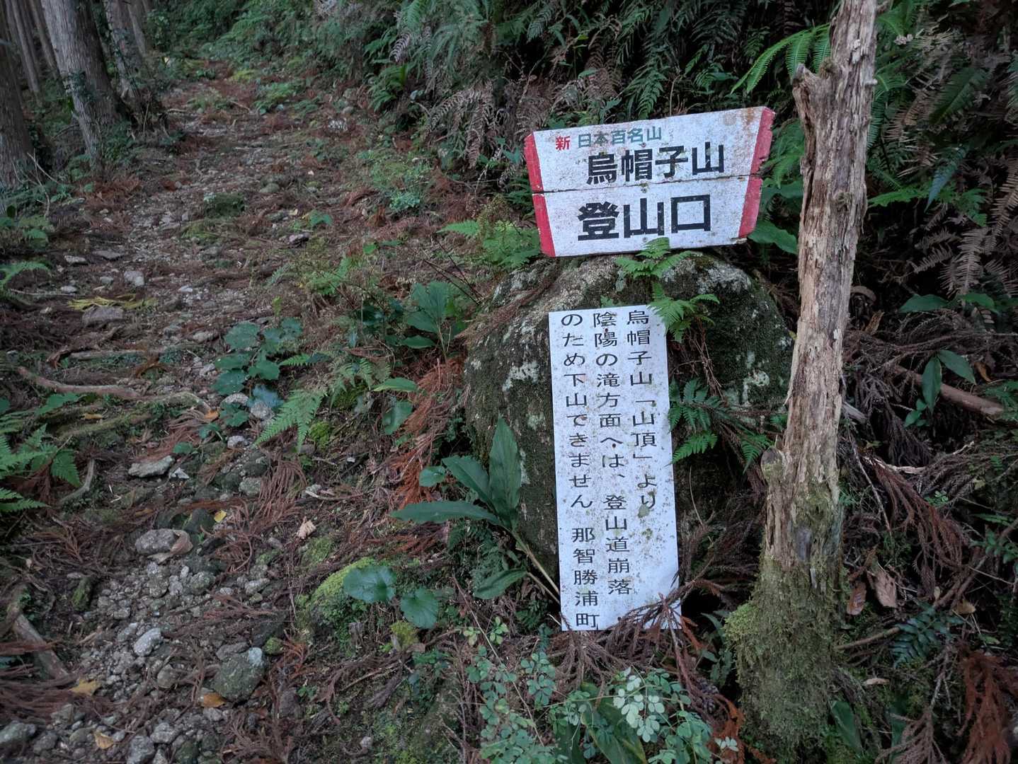 少し荒れ気味の所😅ひと気も無く不安な始まり‼️