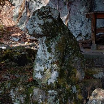 こちらもお猿さんみたい